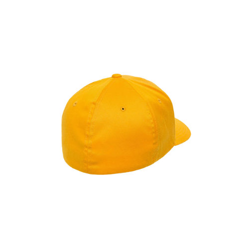 Worn by the World