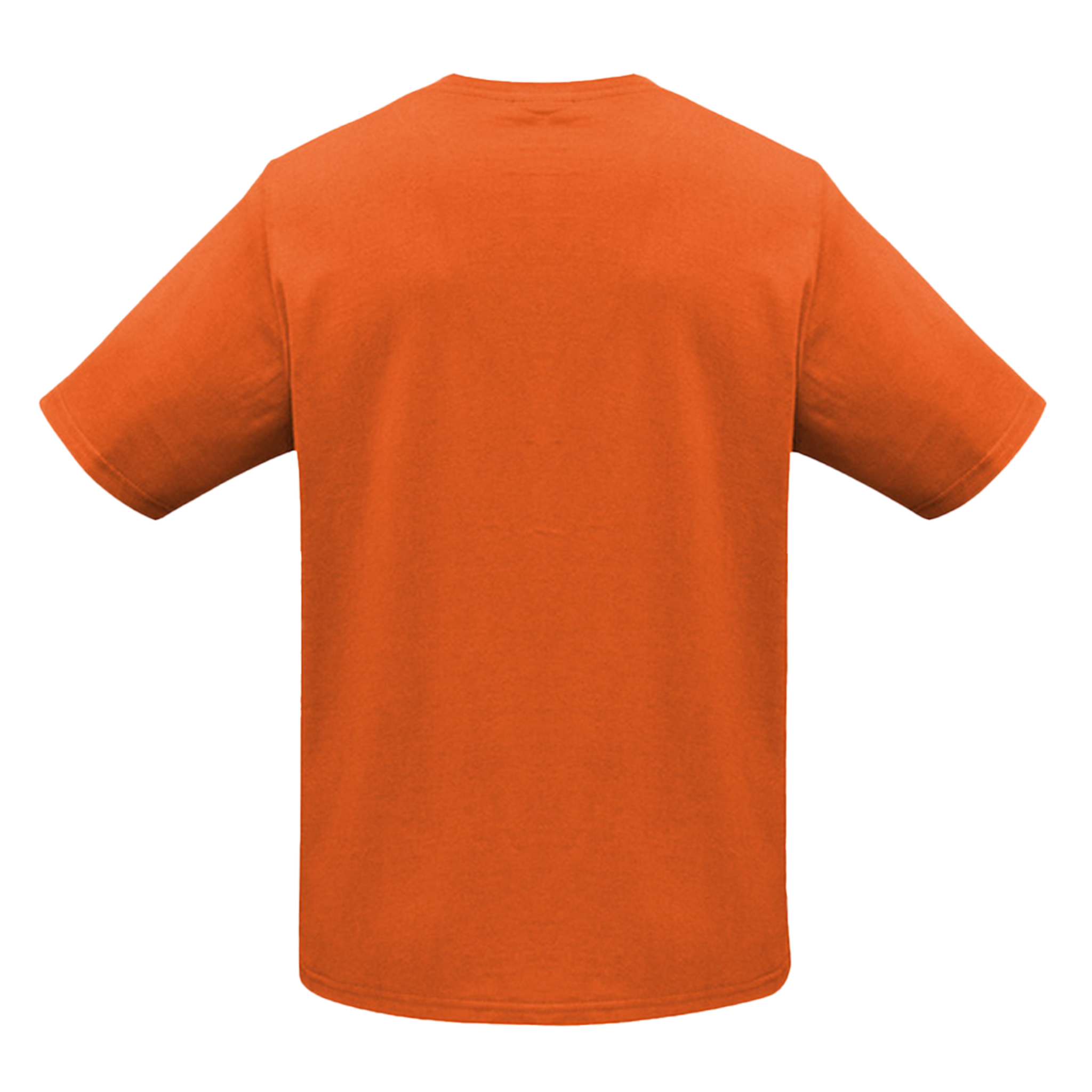 T10012 - Mens Ice Tee
