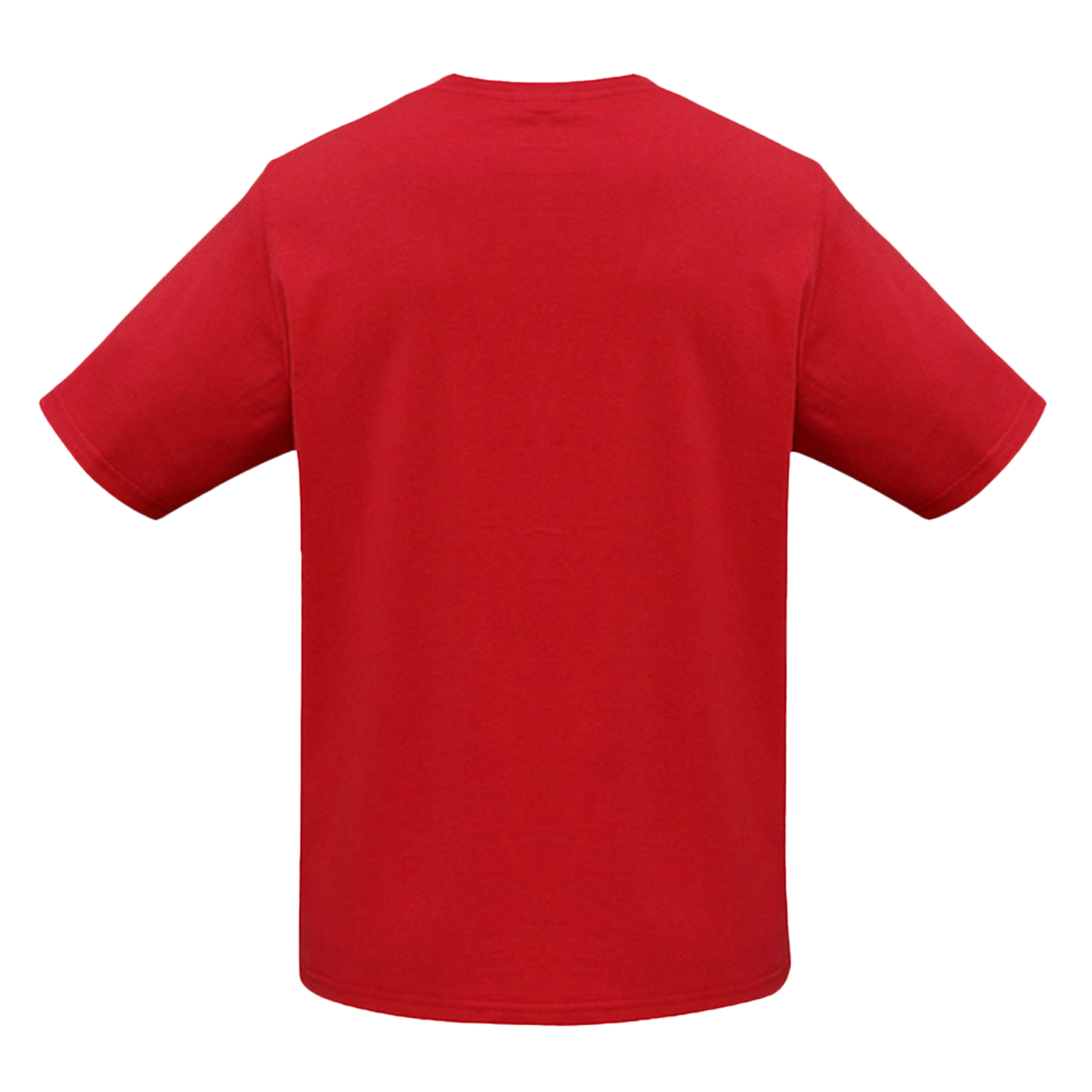 T10012 - Mens Ice Tee